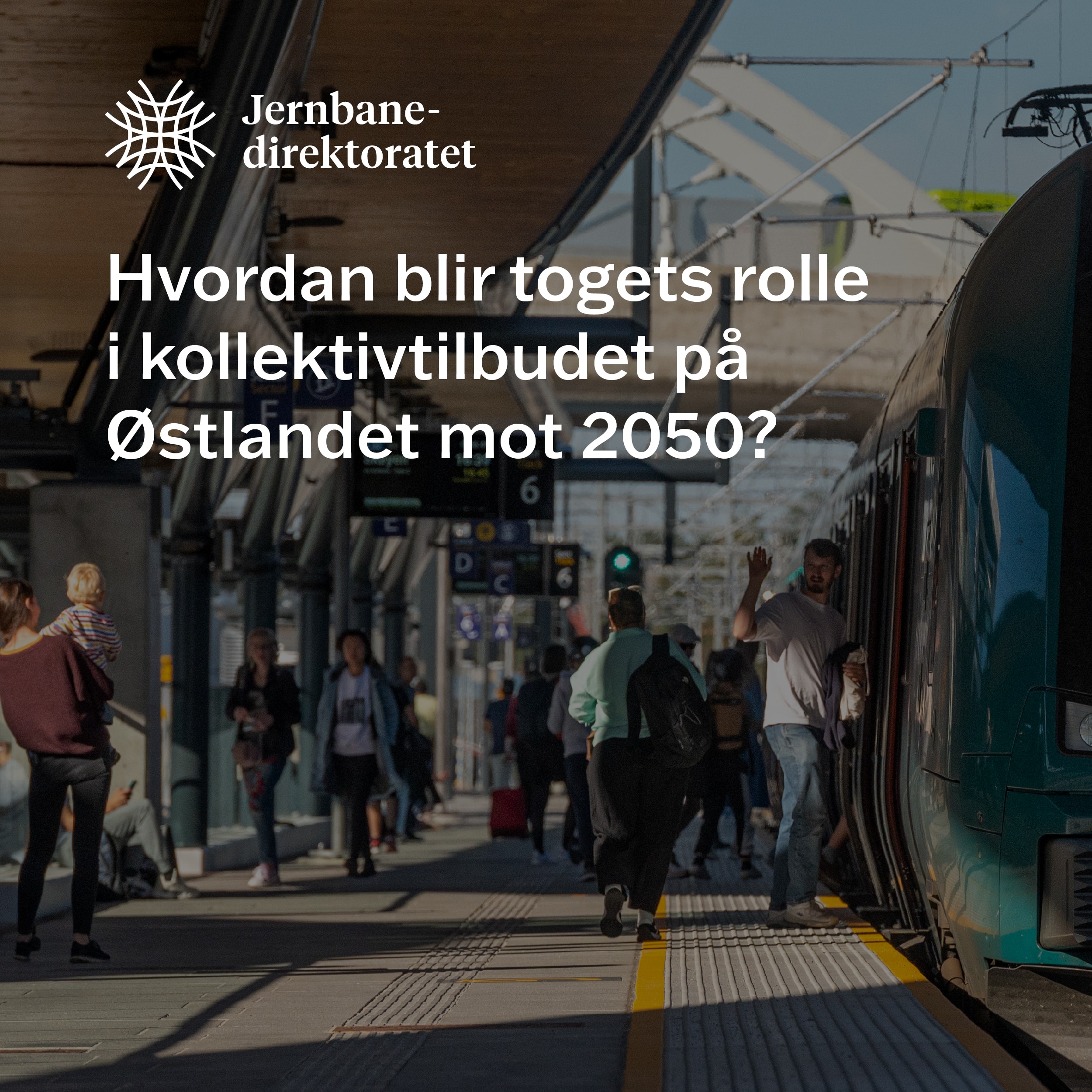 Oppsummering av kollektivstudien - framside