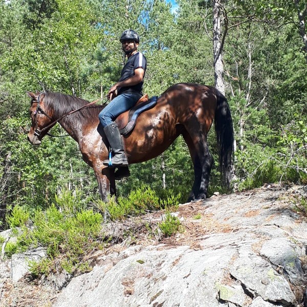 Ateeq på hesteryggen