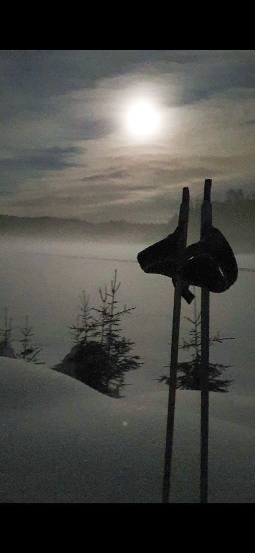 Ski og staver i skumringen